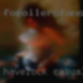Havelock, casual encounters