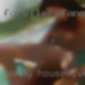 Horny housewives Grande valley