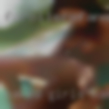 Naked girls Marinette County